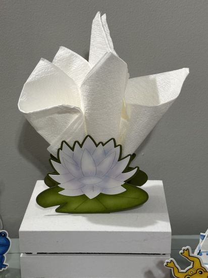 Keywords: frog party lily pad box it