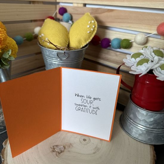 Keywords: lemonade oranges flip it gratitude vines a1