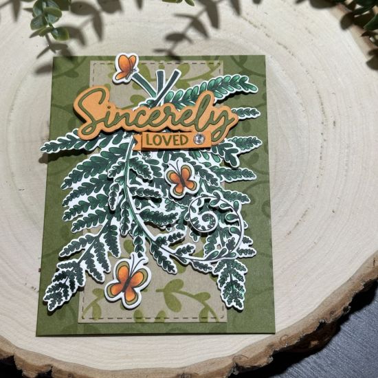 Keywords: fern