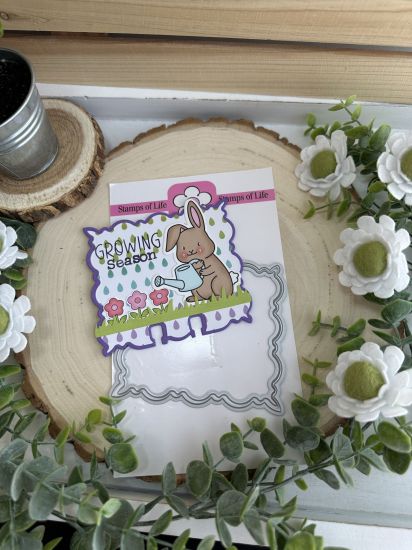 Keywords: large scallop bundle gardening bunnies