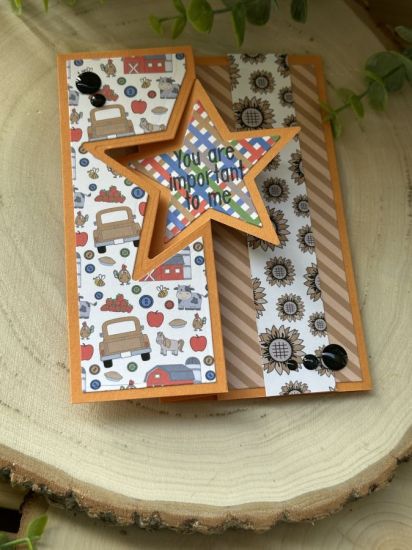 Keywords: star sunflower StarFlipit