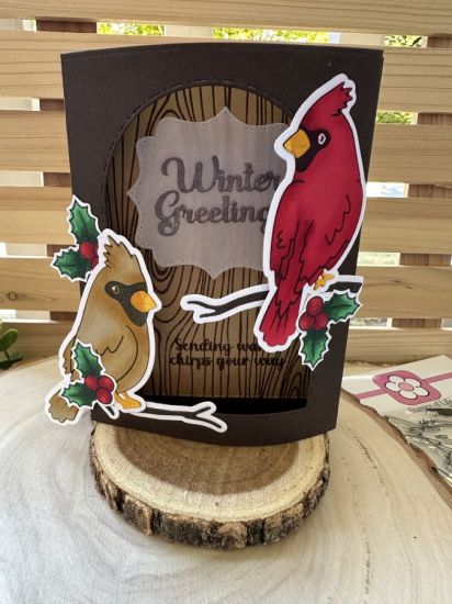 Keywords: winter birds