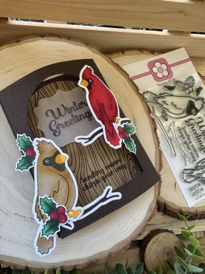 Keywords: winter birds