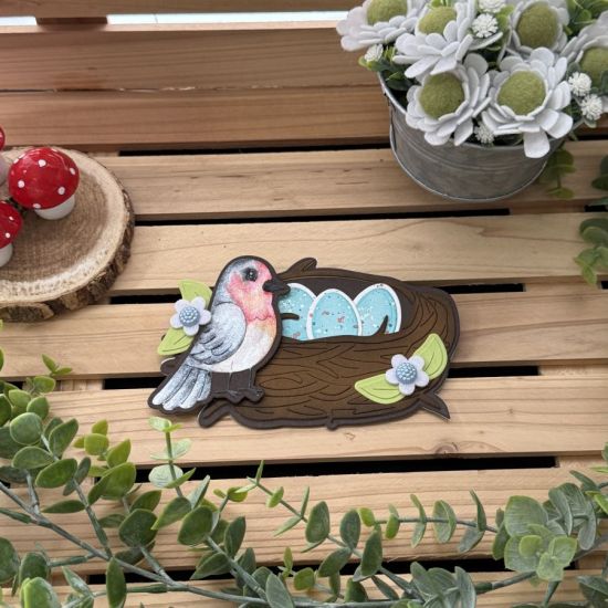 Keywords: bird
