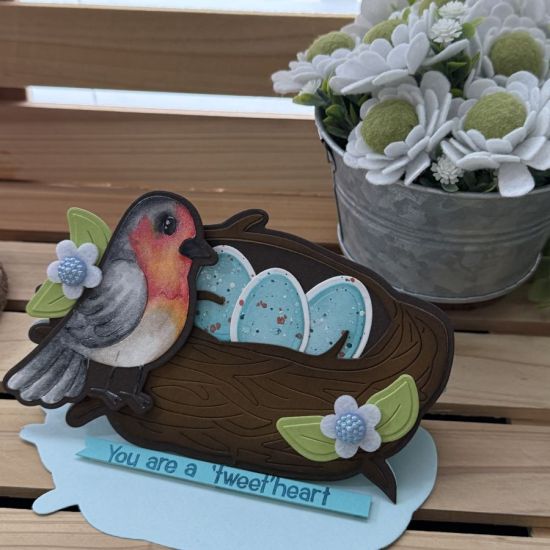 Keywords: bird