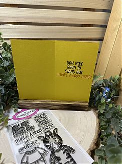 IMG_0919.jpeg