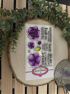 IMG_1370.JPG