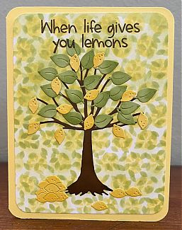 lemontree.JPG