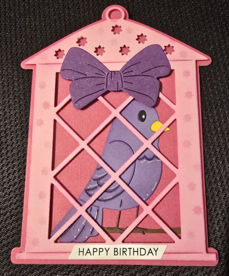 Keywords: Birthday bird