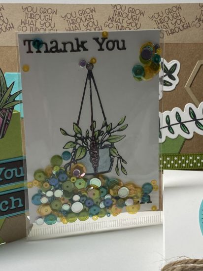 Keywords: Plantsarefriends class plants