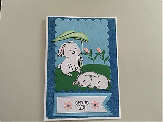 IMG_1172.jpeg