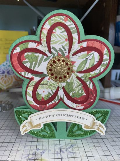 Christmas flower
