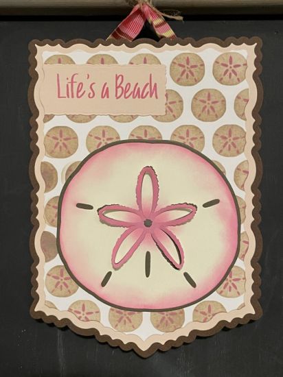 Sand Dollar banner
