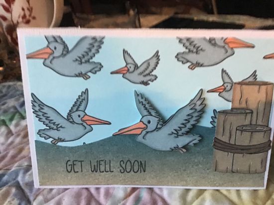 Get well pelicans 
Popped up 1 pelican
Keywords: Get well beach plants personal stamp