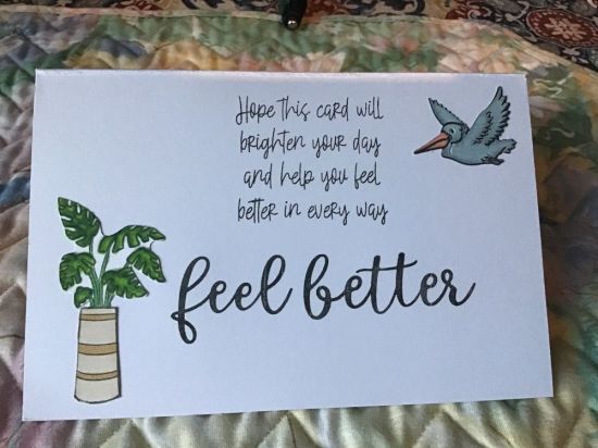 Inside get well
Keywords: Get well beach Plants are Friends class