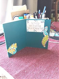 IMG_0188.jpeg