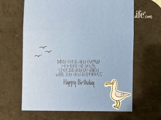 Keywords: Seaside Seagulls