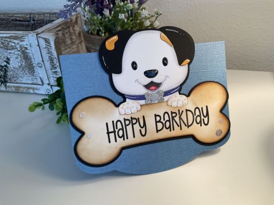 Bandit’s Happy Barkday
