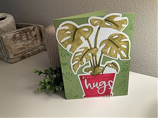 IMG_1217.jpeg