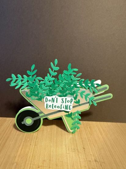 Beleaf
Keywords: Wheelbarrow fold it, Flower Vine & Grid A2 Card Set