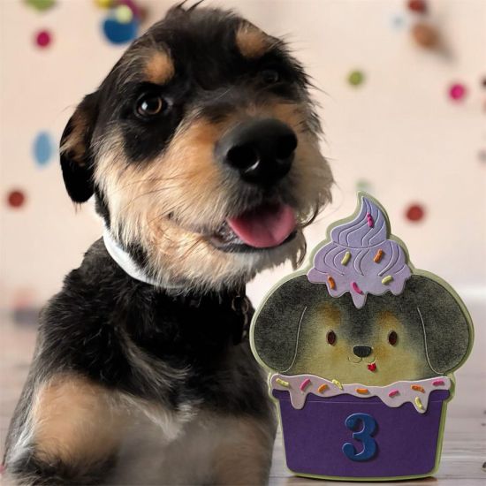 I loved this card, I got it just to do cards for my dogs.
Keywords: dog ice cream cutie